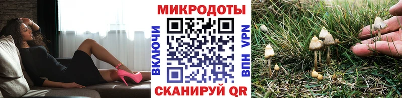 omg как войти  наркота  Урус-Мартан  Псилоцибиновые грибы ЛСД 