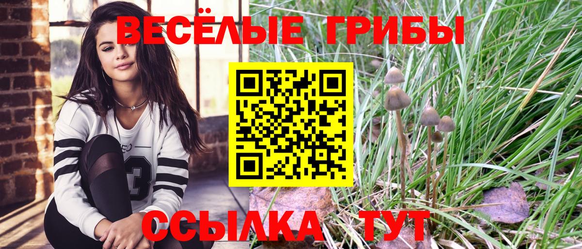 Урус-Мартан  Галлюциногенные грибы GOLDEN TEACHER  Вход с VPN 
