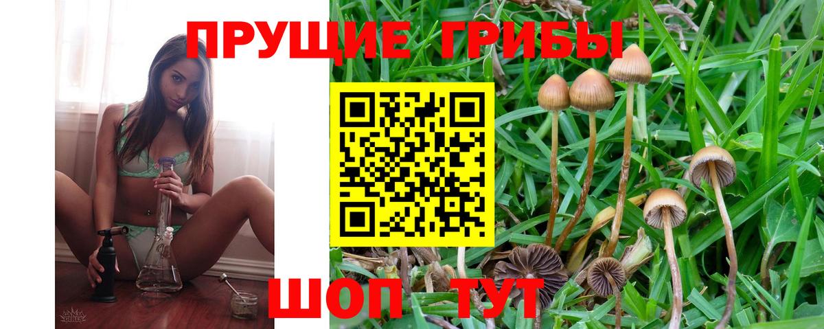 Галлюциногенные грибы GOLDEN TEACHER Урус-Мартан