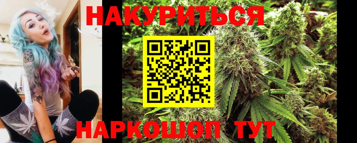 Бошки Шишки планчик  Канабис ГИДРОПОН  Вход с VPN  Урус-Мартан 
